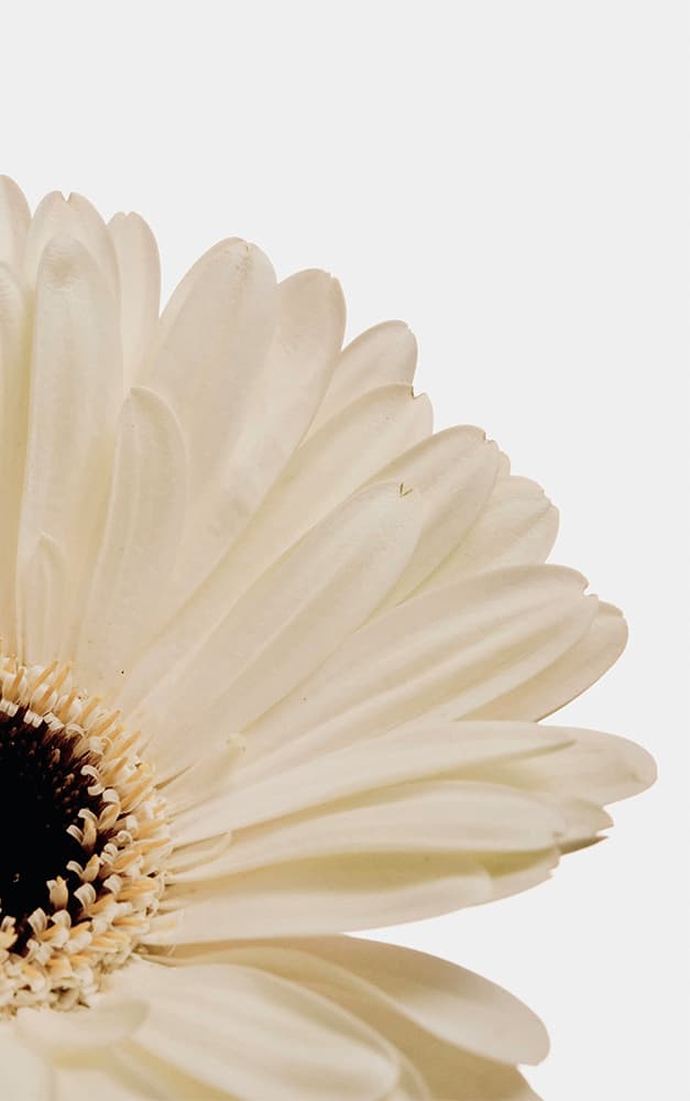 Inspirational moment