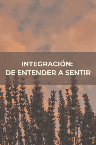 Integración: de entender a sentir